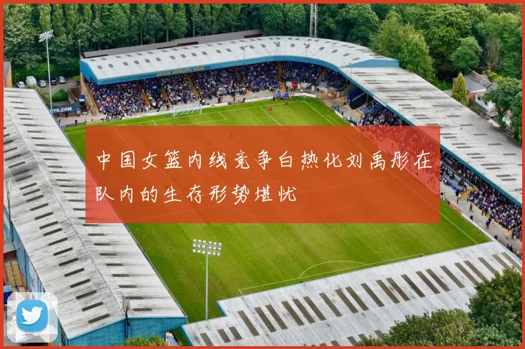中国女篮内线竞争白热化刘禹彤在队内的生存形势堪忧